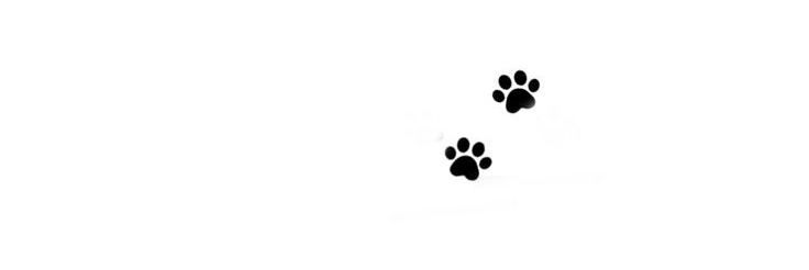 imjoykim19's profile banner image