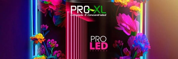 ProXL_Int Profile Banner