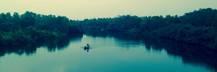 TKatila's profile banner image