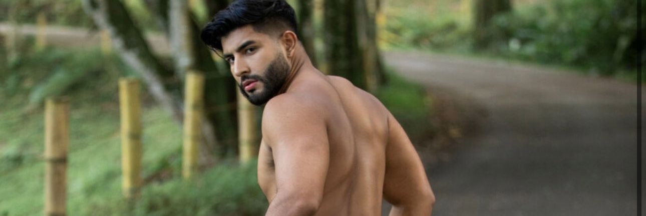 അപ്പു പാലക്കാട്‌ banner