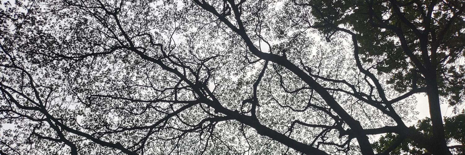 RishikeshN22's profile banner image