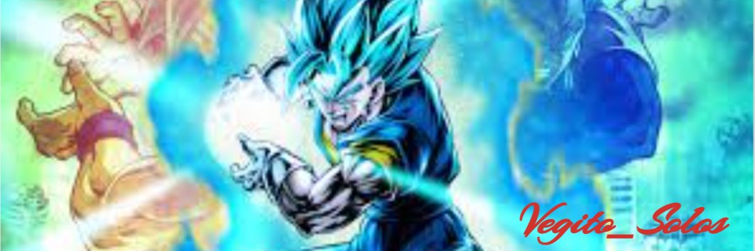 Vegito_Solos724 banner