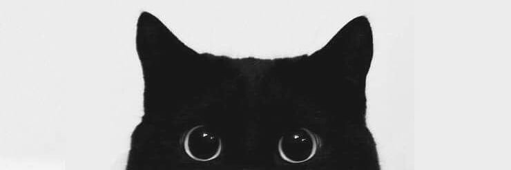 banzeesom's profile banner image