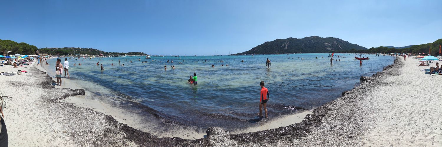 Romain 🇭🇳 banner