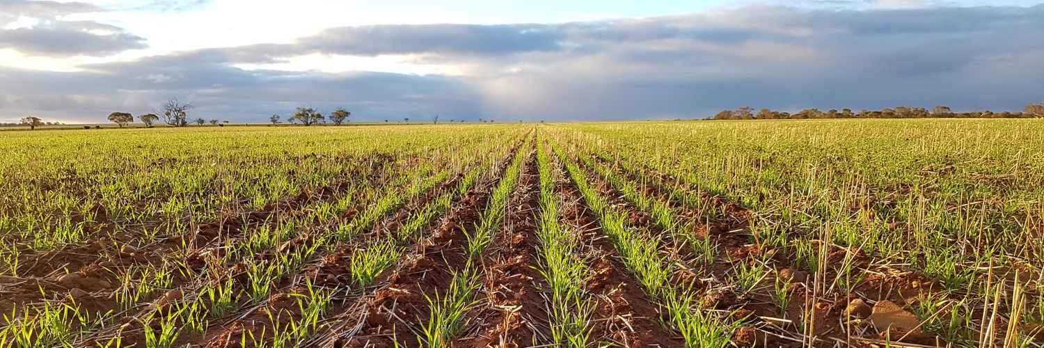 Ben McTaggart banner