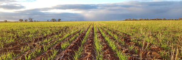 bentags Profile Banner