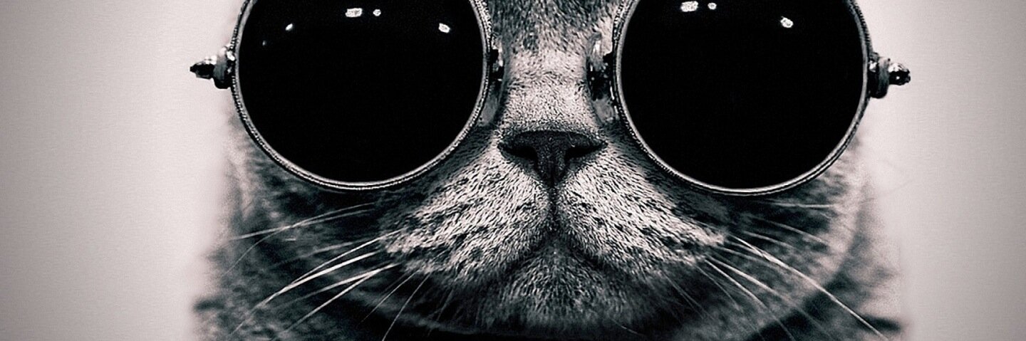 zappa1212's profile banner image