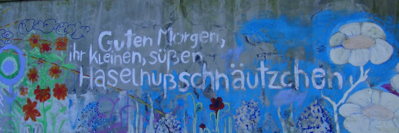 bloechi's profile banner image