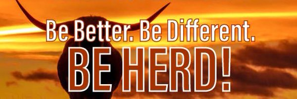 WFlonghorns Profile Banner