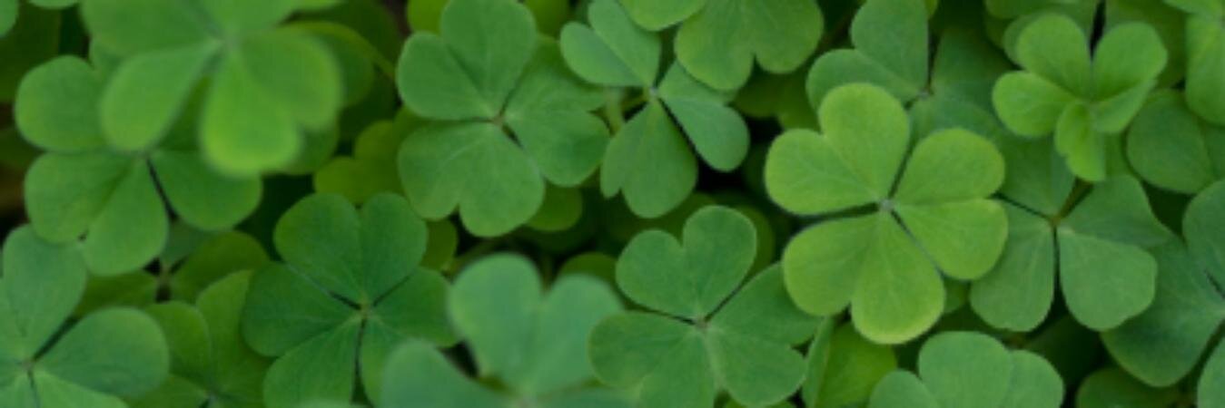 jacquirodgers's profile banner image