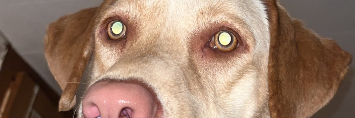 jstrickkkk's profile banner image