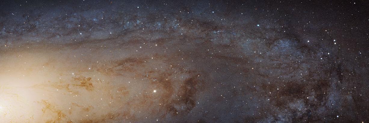 Charles Bergquist banner