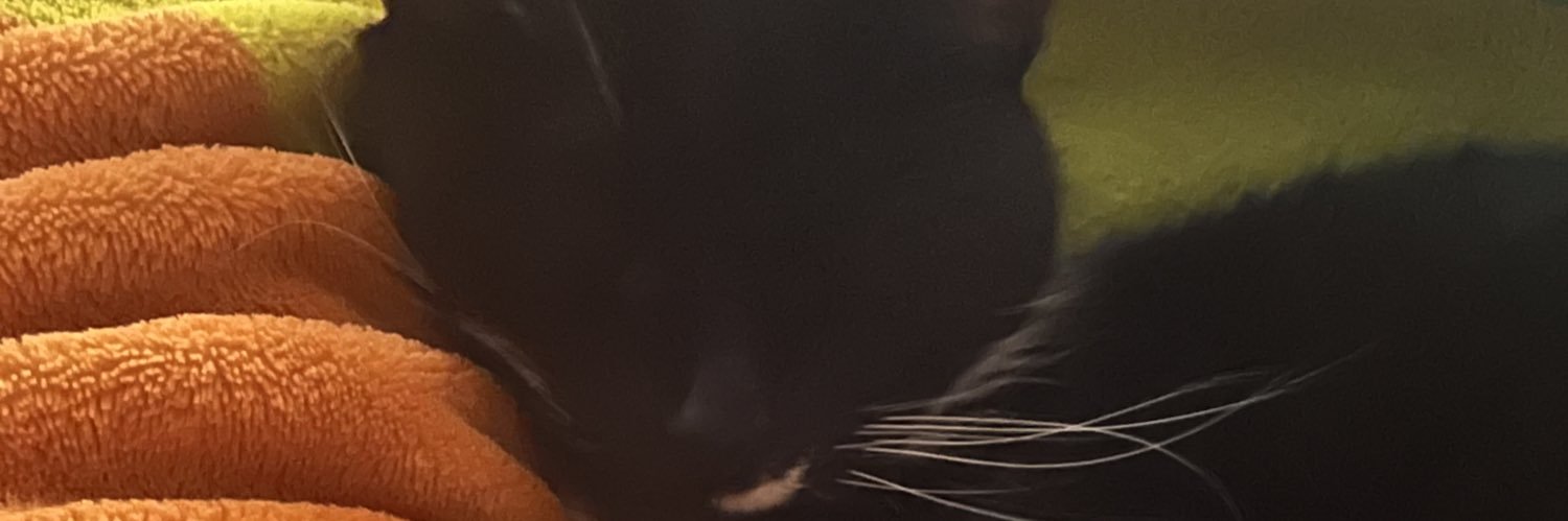 slug's banner
