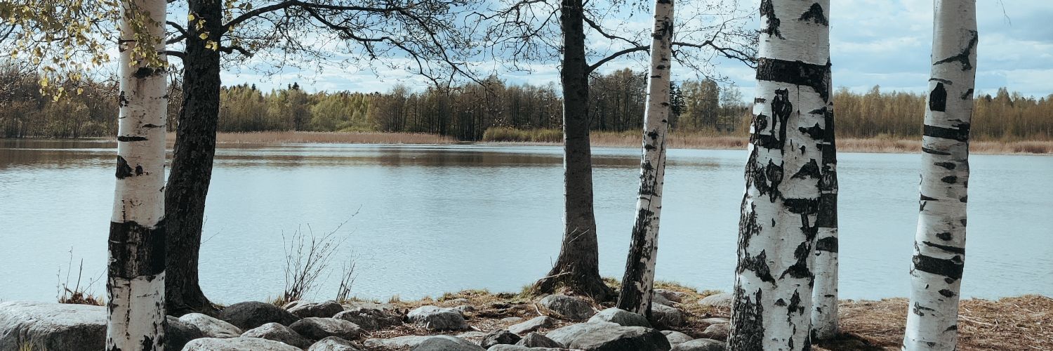 LindusQ's profile banner image