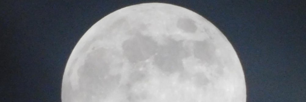 tamster2k's profile banner image