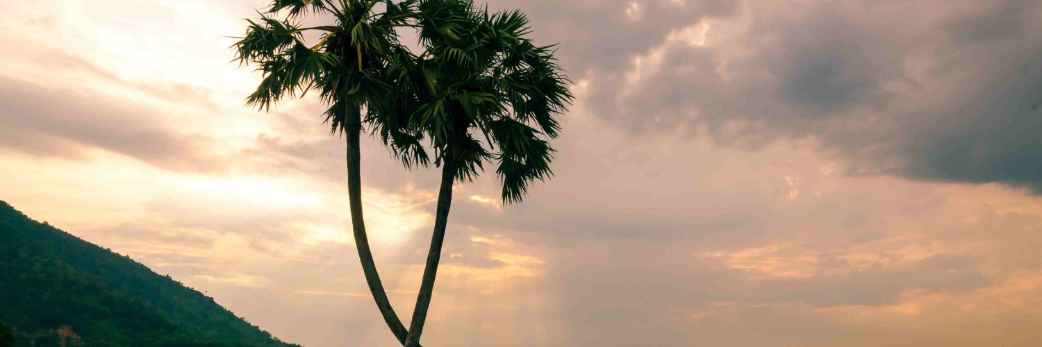 Connor Walker banner