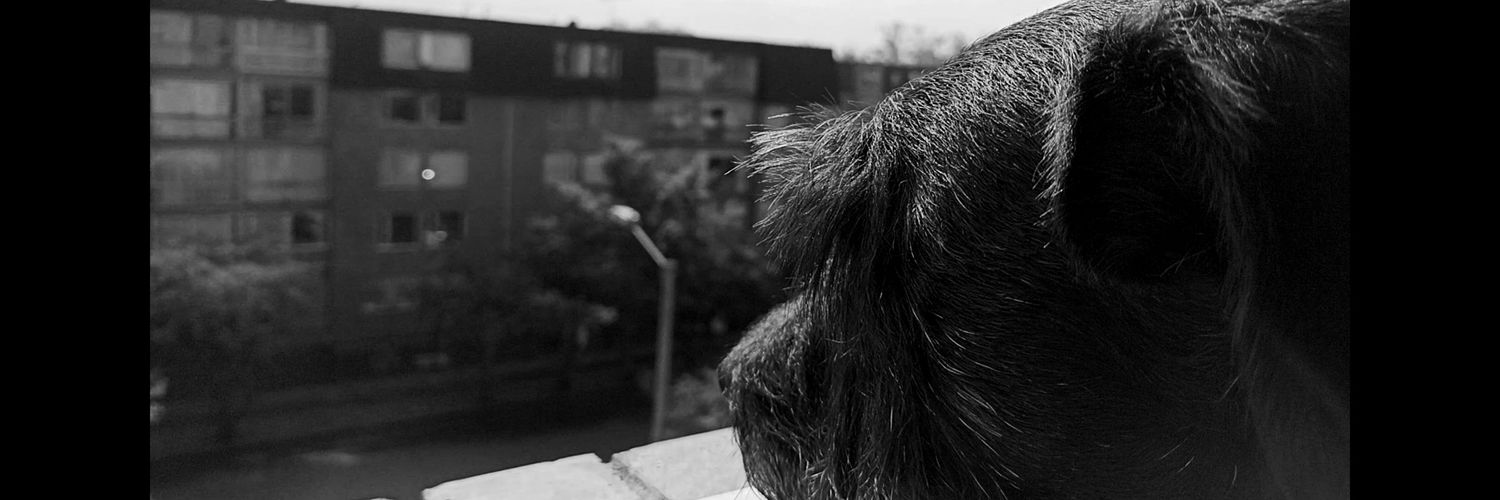 Idania_2426's profile banner image