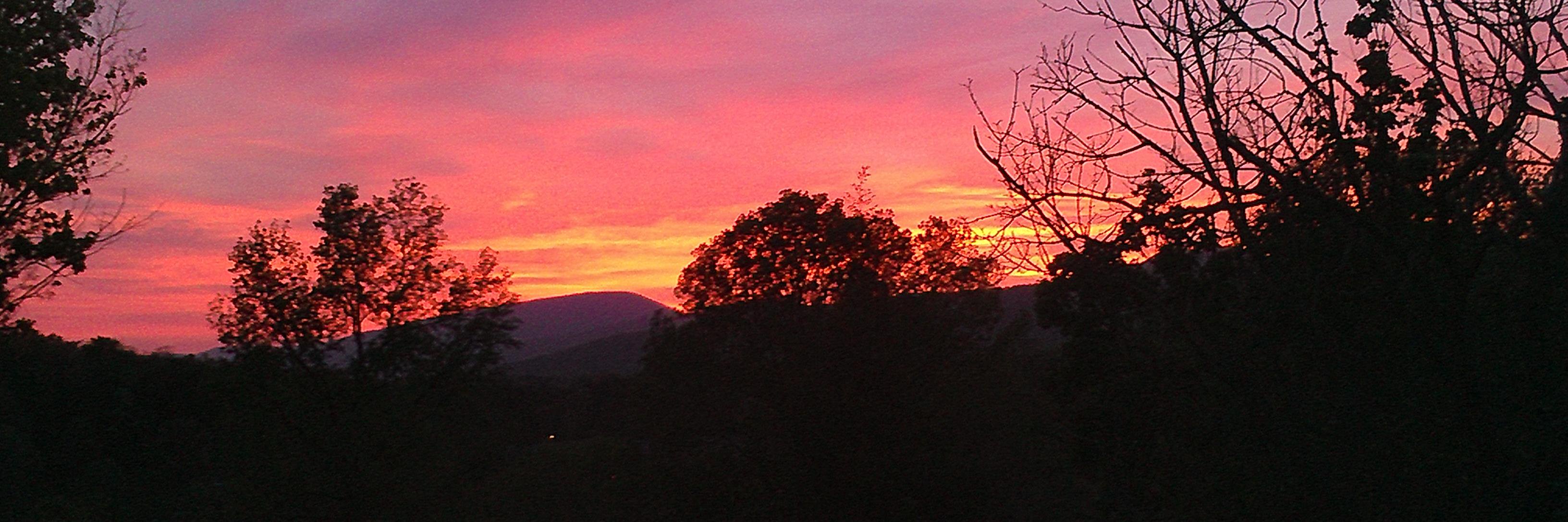 TMcKeeRealtor's profile banner image