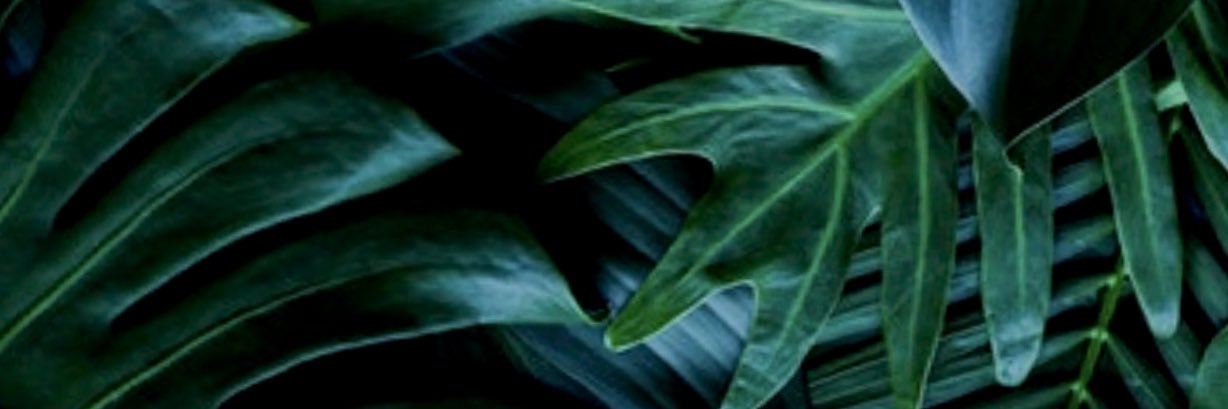 RubMyInk's profile banner image