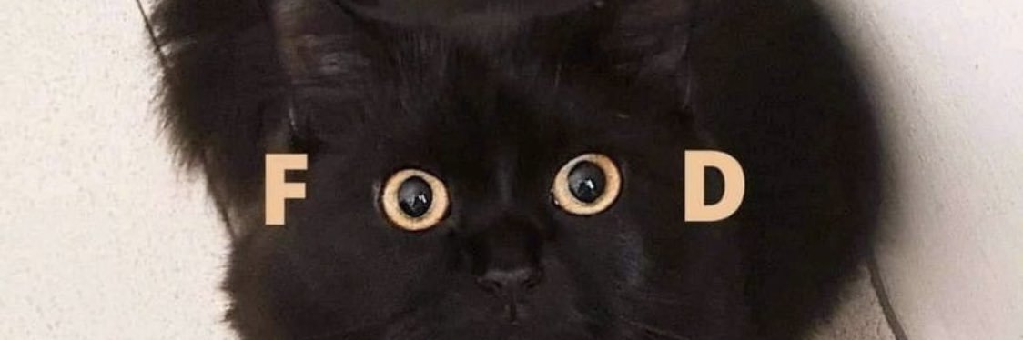 havvaboz1's profile banner image
