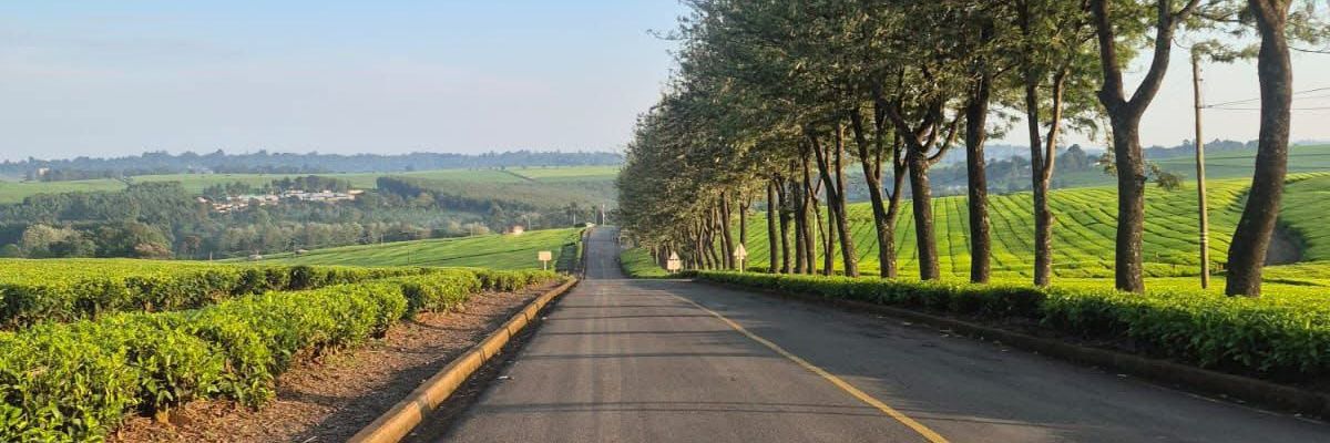 Tony_Francko's profile banner image