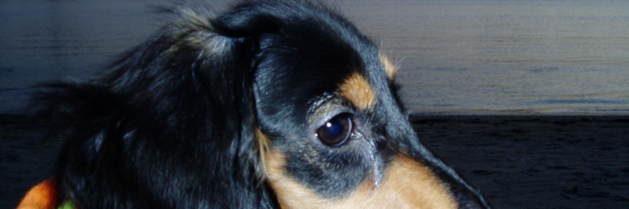 twbenden's profile banner image
