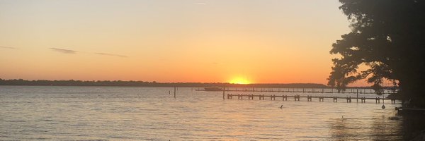 markpanichelli Profile Banner