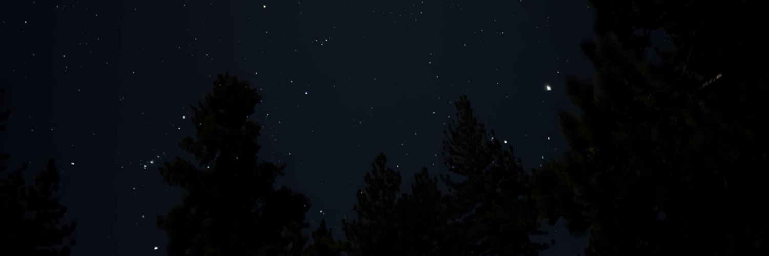 Cody Bauer banner