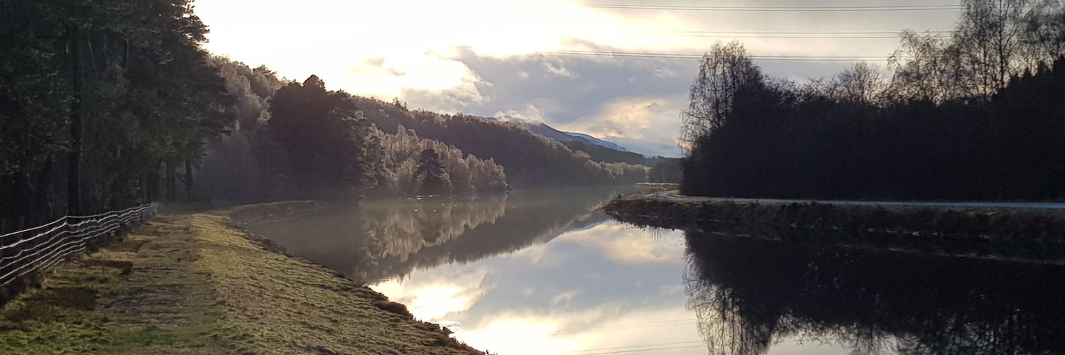 WiredFoofish's profile banner image
