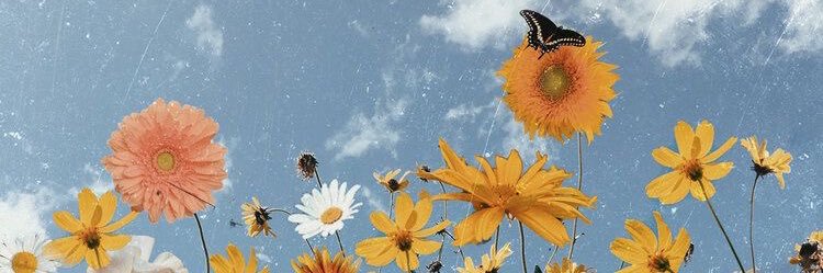 MicCheckk12's profile banner image
