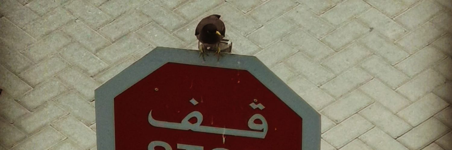 sayedelhadidi's profile banner image