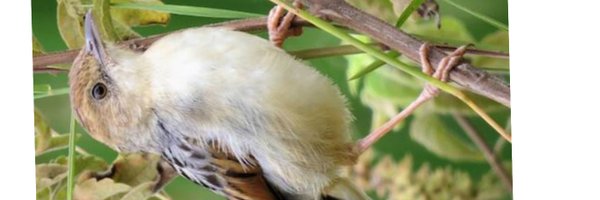BlessedNam59579 Profile Banner