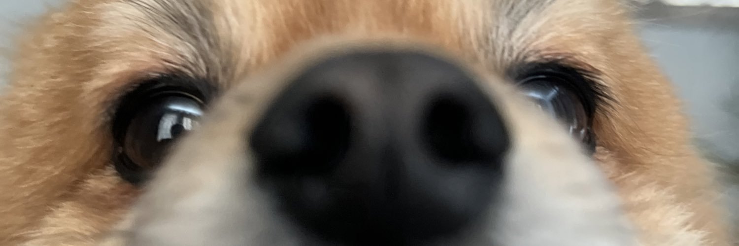arelly_rubi's profile banner image