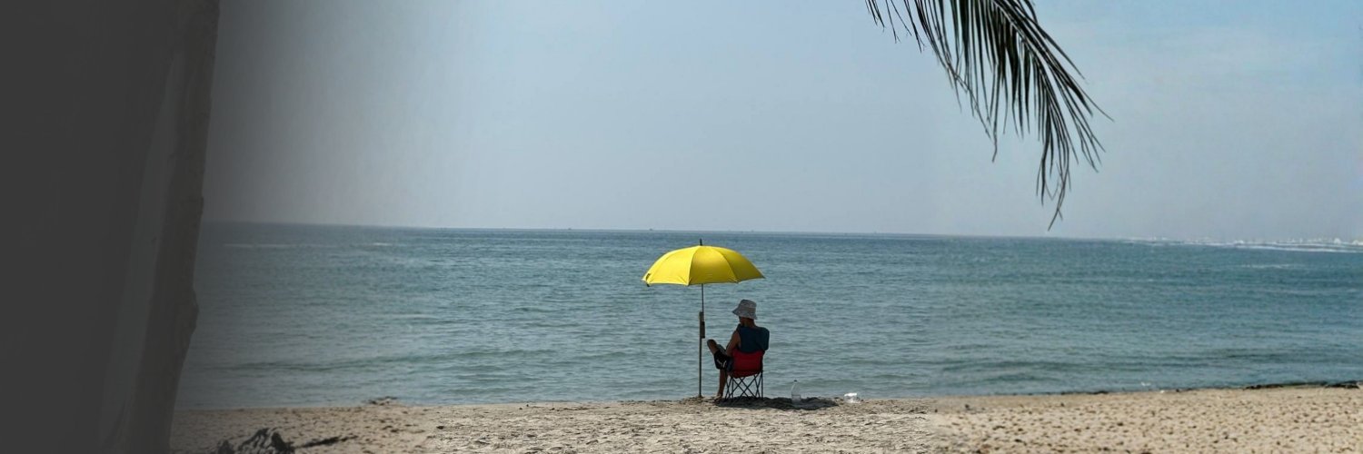 Crypto🔶Bird banner