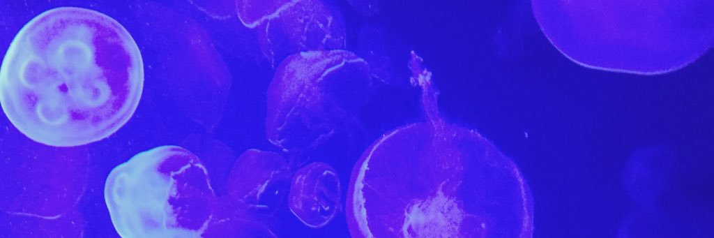 softballfreek16's profile banner image
