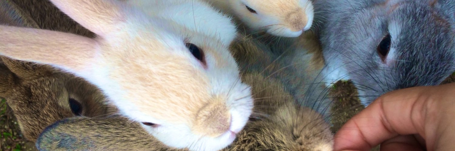 チュディ~ banner