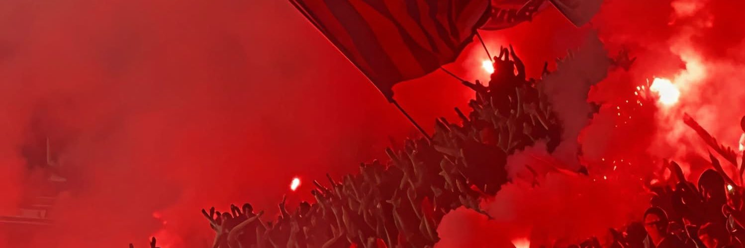 Thierry Ménigot banner