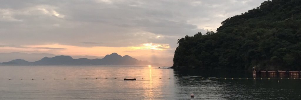 r_daichann's profile banner image
