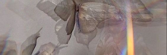 reyy banner