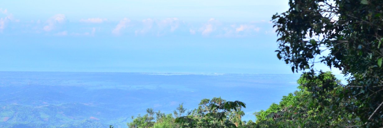 CiroConCe's profile banner image