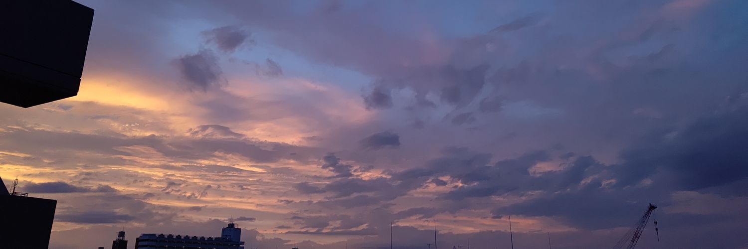 annmittyu's profile banner image
