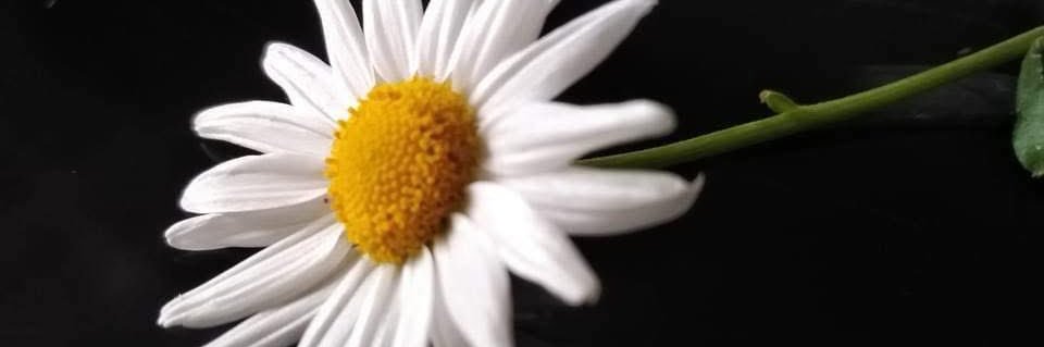 ADRY112's profile banner image