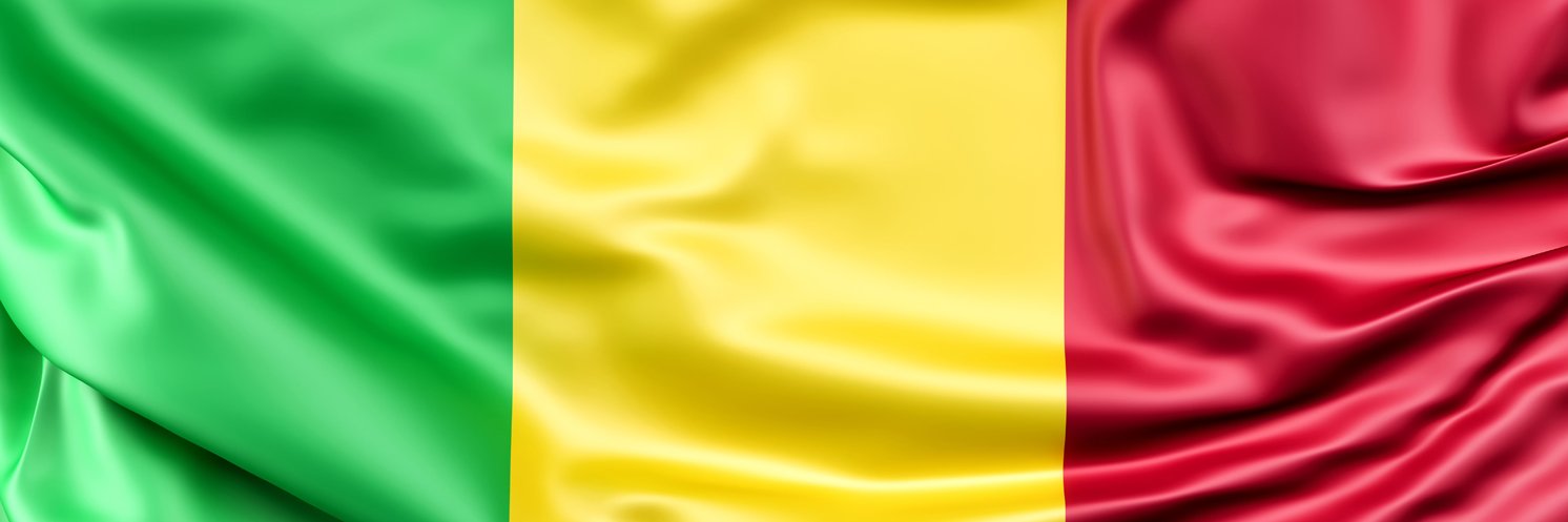 Bagayoko Aminata Traore banner