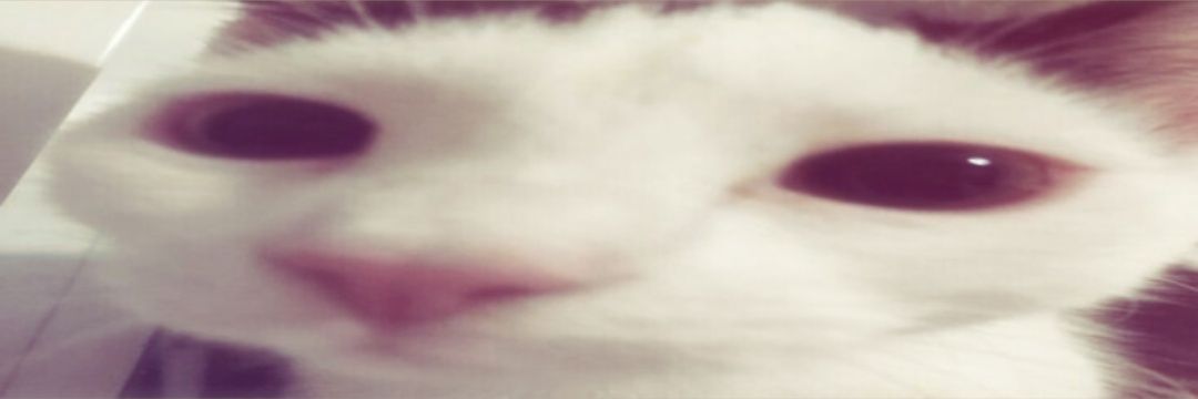 mqdertch n3ich mea lkavi banner