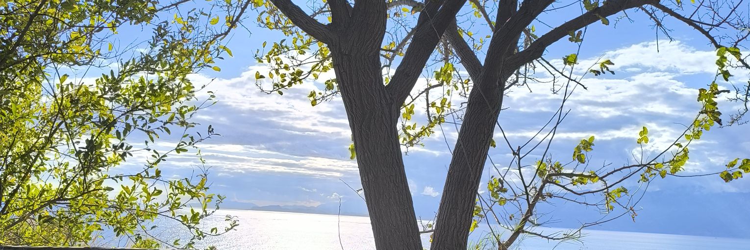 __mellon__'s profile banner image