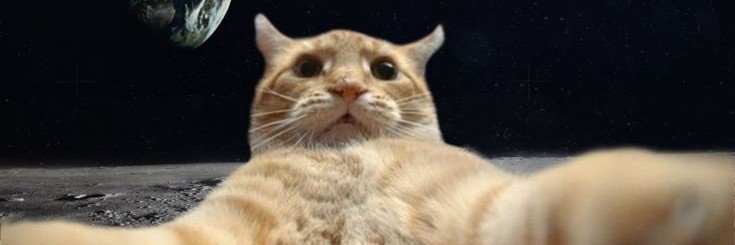 babymanees's profile banner image