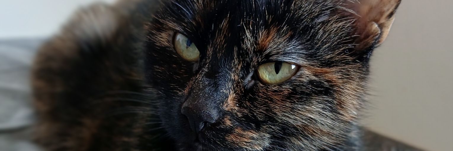 Alviina Valmiina Paikoillanne Valmiina Hep.😂 banner