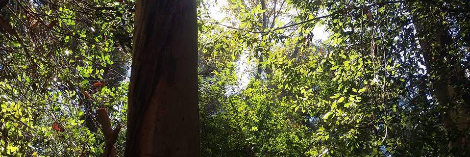 RuggMich's profile banner image
