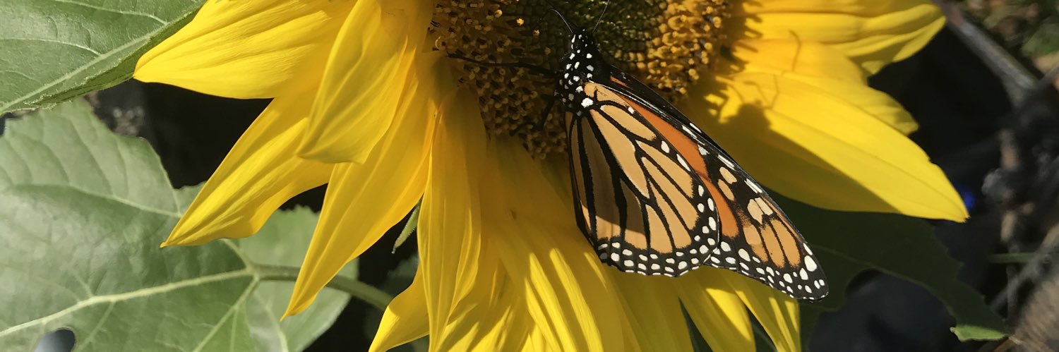 jeskieffer's profile banner image
