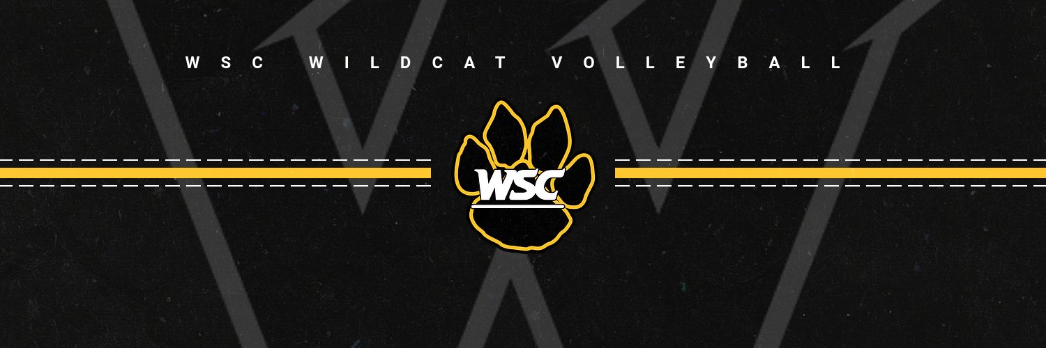 WSC Wildcat Volleyball banner